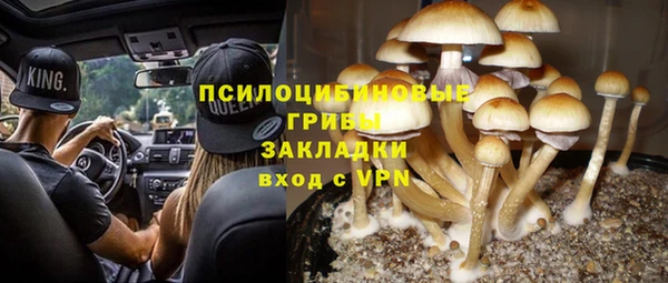 крисы Вяземский