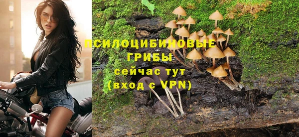 крисы Вяземский
