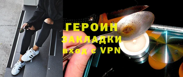 гидра Снежногорск