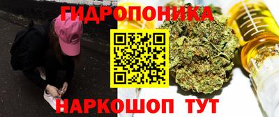 скорость Канаш