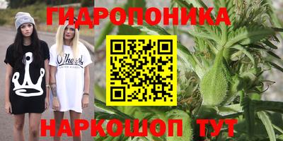 дурь Кандалакша