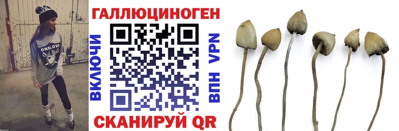 Псилоцибиновые грибы ЛСД  Тихорецк 