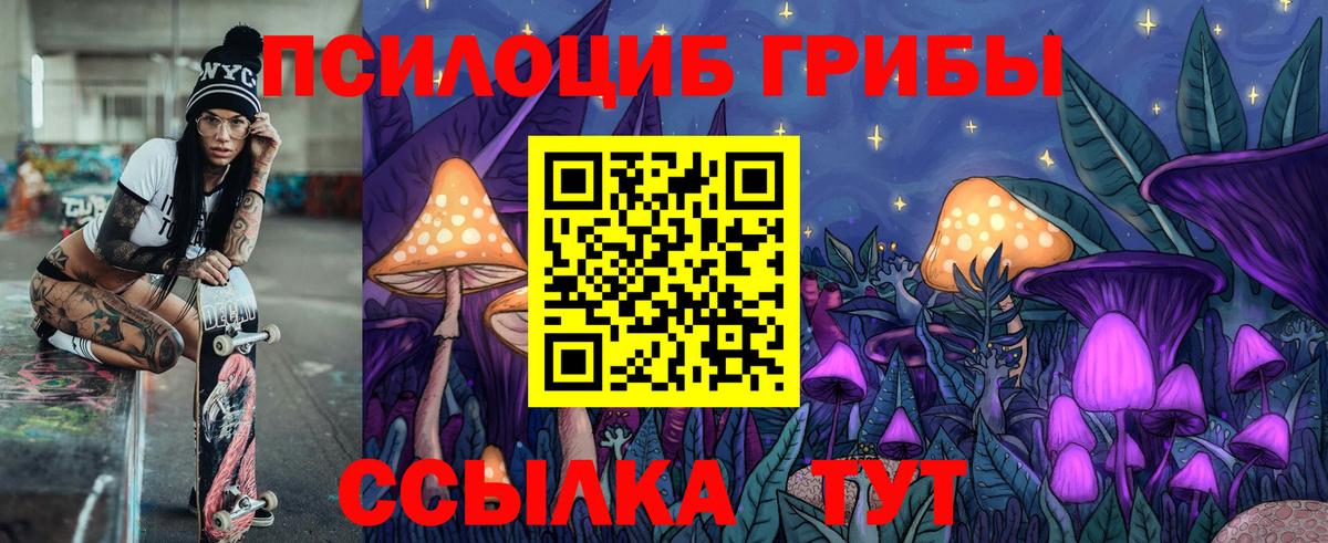 Тихорецк  Псилоцибиновые грибы мицелий  купить  сайты  Вход с VPN 